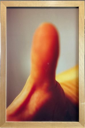 Jeanne Dunning "Untitled" 1994
fotografia a colori cibachrome montata su plexigl