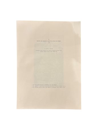 Giorgio Morandi (dapres) (1890 - 1964) 
Piante di gerani e rete di filo di ferro - 1928 1957
litografia 392 x 287 mm