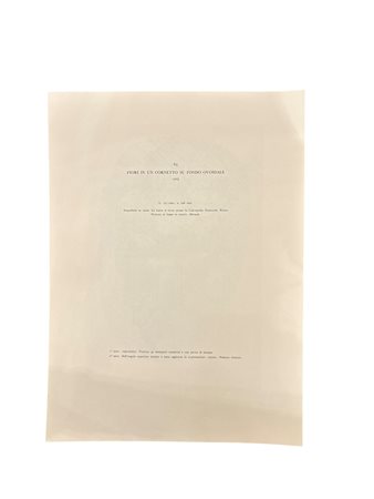 Giorgio Morandi (dapres) (1890 - 1964) 
Fiori in un cornetto su fondo ovoidale - 1929 
litografia 392 x 287 mm