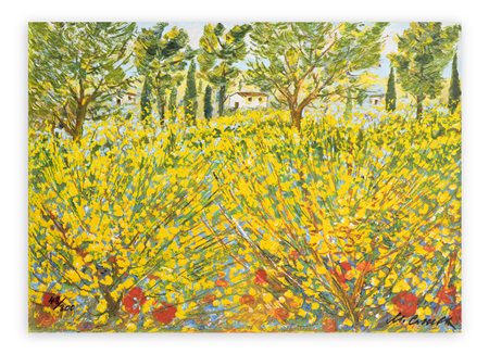 MICHELE CASCELLA (1892-1989) - Ginestre in Toscana, 1983