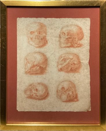 Anonimo del secolo XVIII

"Studi di teschio"
sanguigna su carta (cm 30x22 ca.)