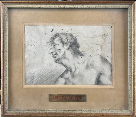 Artista della fine del secolo XVIII

"Studio di testa virile"
carboncino su car