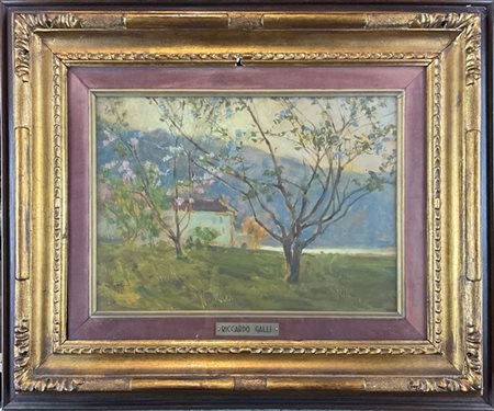 Riccardo Galli "Alberi in fiore" 
olio su compensato (cm 25x35)
firmato e dedica