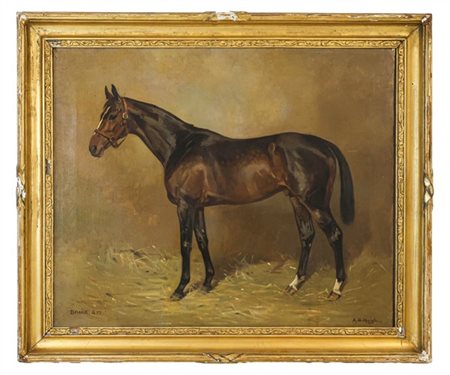 Alfred Grenfell Haigh "Il purosangue Drake" 
olio su tela (cm 51x61,5)
firmato i