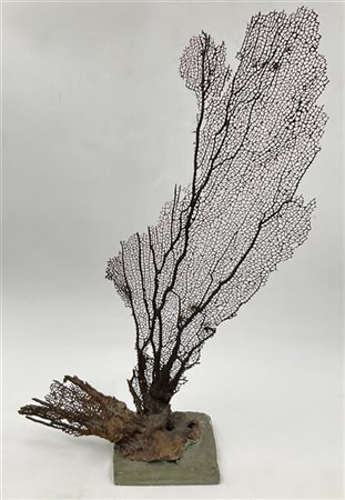 Ramo di gorgonia nera su base in ceramica, reca firma Rocchi (h cm 49) (difetti