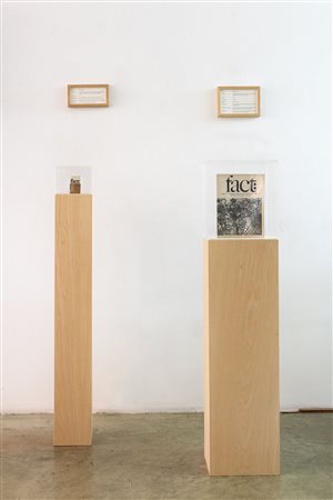 Product Recall: An Index of Innovation. Fact