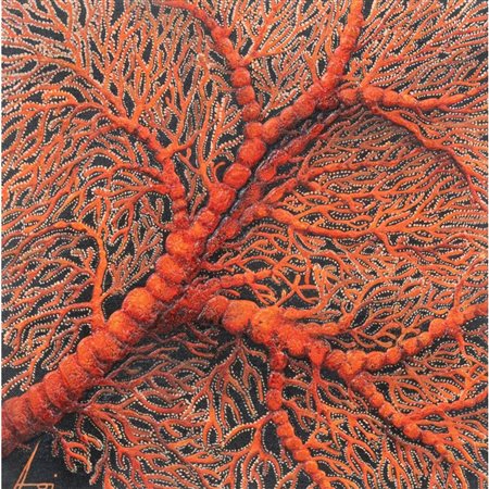 A. LOI, Gorgonia, Olio su tela