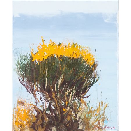 GIANCARLO CAZZANIGA, Ginestre, Olio su tela