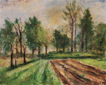 Arturo Tosi (Busto Arsizio 1871 - Milano 1956) CAMPAGNA LOMBARDA olio su...