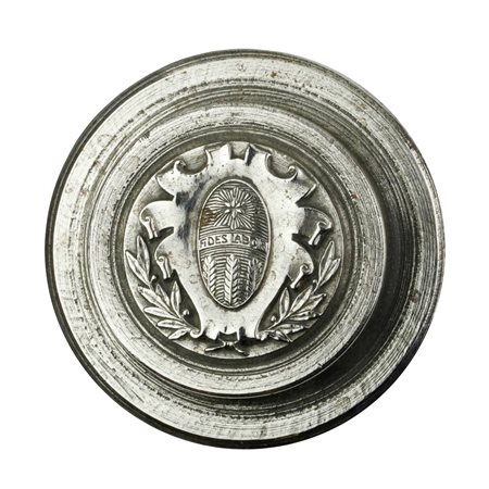  
P Fides Labor 48 x 29 mm 
 