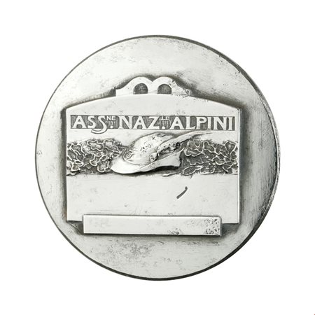  
P Ass Nazionale Alpini 43 x 31 mm 
 