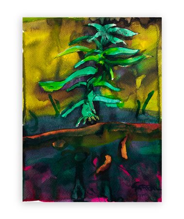 ROBERT CARROLL (1934-2016) - In my garden