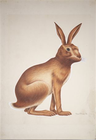 Di Mauro Renzo - IL LEPRIGLIO.