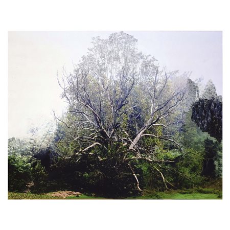 Abbas Gharib Teheran 1942 26x21 cm. "Lonely tree", 2024, stampa digitale su...