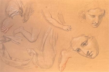 Giuseppe Bottani (1717 - 1784) 
Studio anatomico 
matita, biacca e carboncino su carta 25 x 38cm