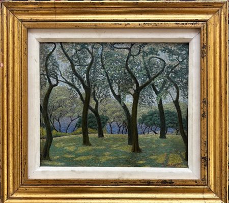 Augusto Laforet Milano 1881 - 1970 Ghiffa Alberi in fiore, primavera