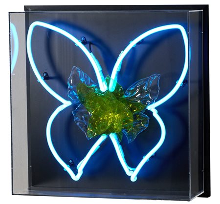 Raffaella Rosa Lorenzo (Rho, 1973) Senza titolo Neon e farfalle di plastica...