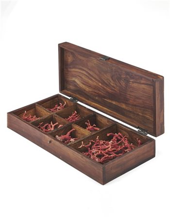 Collezione di numerosi rami di corallo. Secolo XIX (g 425) entro cofanetto in l