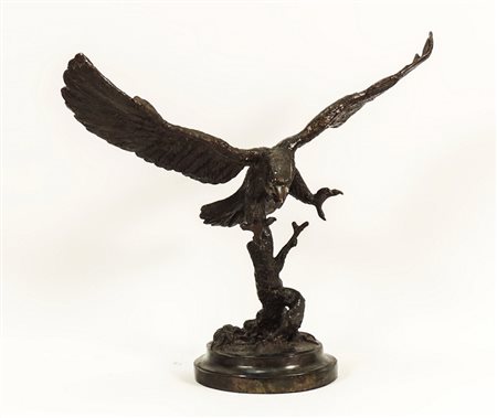 AQUILA - EAGLE scultura in bronzo - bronze sculpture h cm 59x61x28