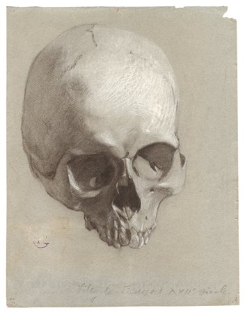 Francia (I metà del XX secolo), (?)
Studio di teschio