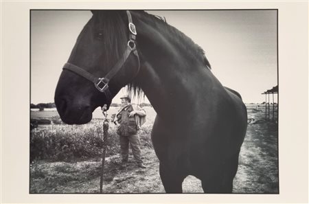 CALDARONE MIRELLA Andria XX sec. "x1"