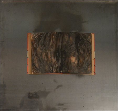 AUBERTIN BERNARD Francia 1934 - Germania 2015 "Livre brulè"