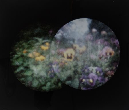 Paolo Gioli (1942 - 2022)  - Senza titolo (Composizione al cerchio), 1986