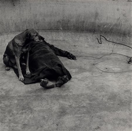 Roger Ballen (1950)  - Guardian, 2001