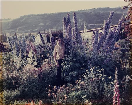 Joel Sternfeld (1944)  - A Blind Man in his Garden, Homer, Alaska, 1984
