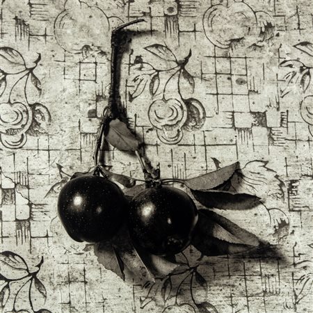 Flor Garduño (1957)  - Almelita II, 2008