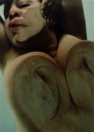Jenny Saville - Glen Luchford (1970, 1968)  - Closed Contact - C, 2002