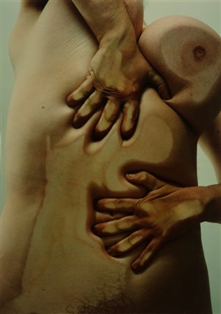 Jenny Saville - Glen Luchford (1970, 1968)  - Closed Contact - D, 2002