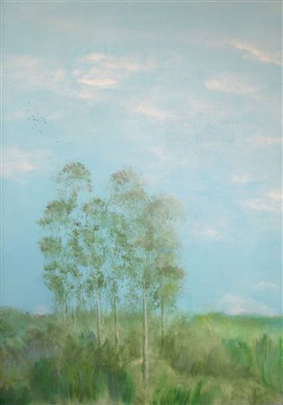 Silvia Venuti, Gli alberi si aprono al cielo