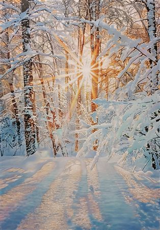 Danilo Curcelli, Fulgida luce del mattino