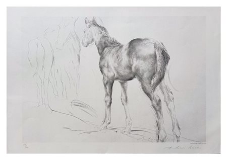 Antonio Ciccone, Senza titolo