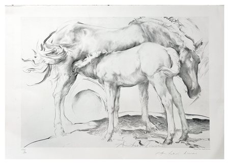 Antonio Ciccone, Senza titolo