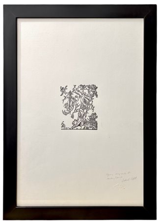 Antony De Witt, Senza titolo