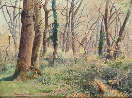 Scuola irlandese seconda metà del XIX secolo Bosco a Grottaferrata 1879...