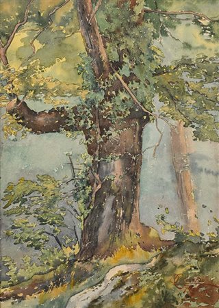 Onorato Carlandi Roma 1848 - Roma 1939 Alberi Firmato in basso a destra...