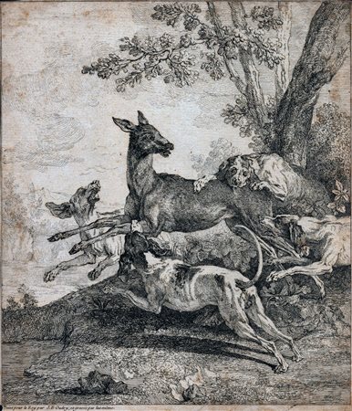 Jean Baptiste Oudry
(1686 - 1755)
 Caccia al cervo
