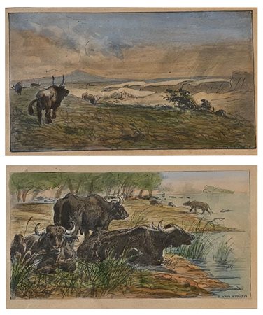 Everet van Muyden
(Albano 1853 - Orsay 1922)
 Agro romano