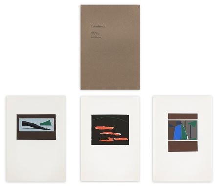 ENRICO DELLA TORRE (1931-2022) - Transizioni, 1985