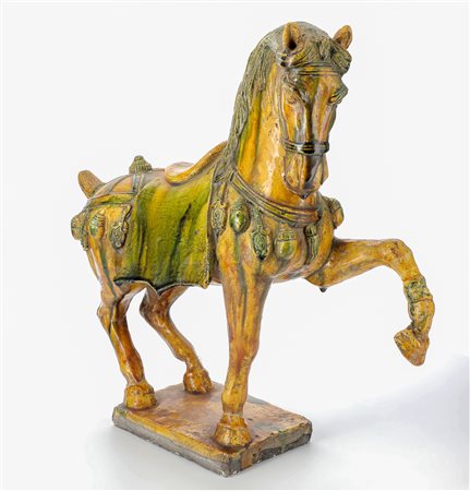 Cina
Cavallo sellato