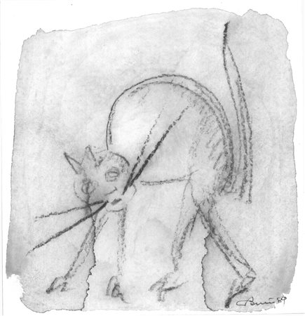 Toni Benetton (1910 - 1996)
Gatto, 1989