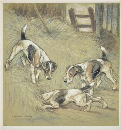 FOX TERRIERS, Inghilterra 1930 cromolitografia, cm 36x32 (con cornice) sul...