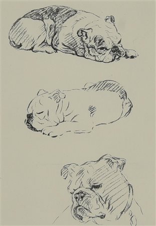 BULLDOG, Inghilterra 1936 litografia, cm 36x30 (con cornice) sul retro:...