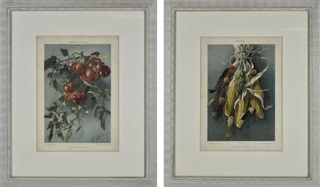 COPPIA DI NATURE MORTE, Stoccarda 1880 circa cromolitografia, cm 54x45...