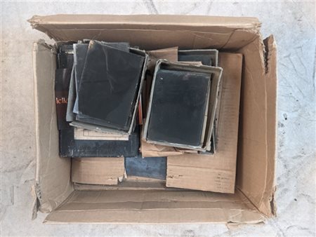 Cartone contenente diverse lastre fotografiche negative della fine del secolo X