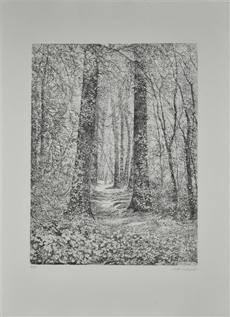 Marisa Benetti BOSCO, 1994 acquaforte, cm 48x36, su foglio cm 70x50; es....