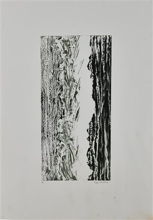 Cristina Pisani SENZA TITOLO acquaforte, cm 30x14,5, su foglio cm 34x50; es....